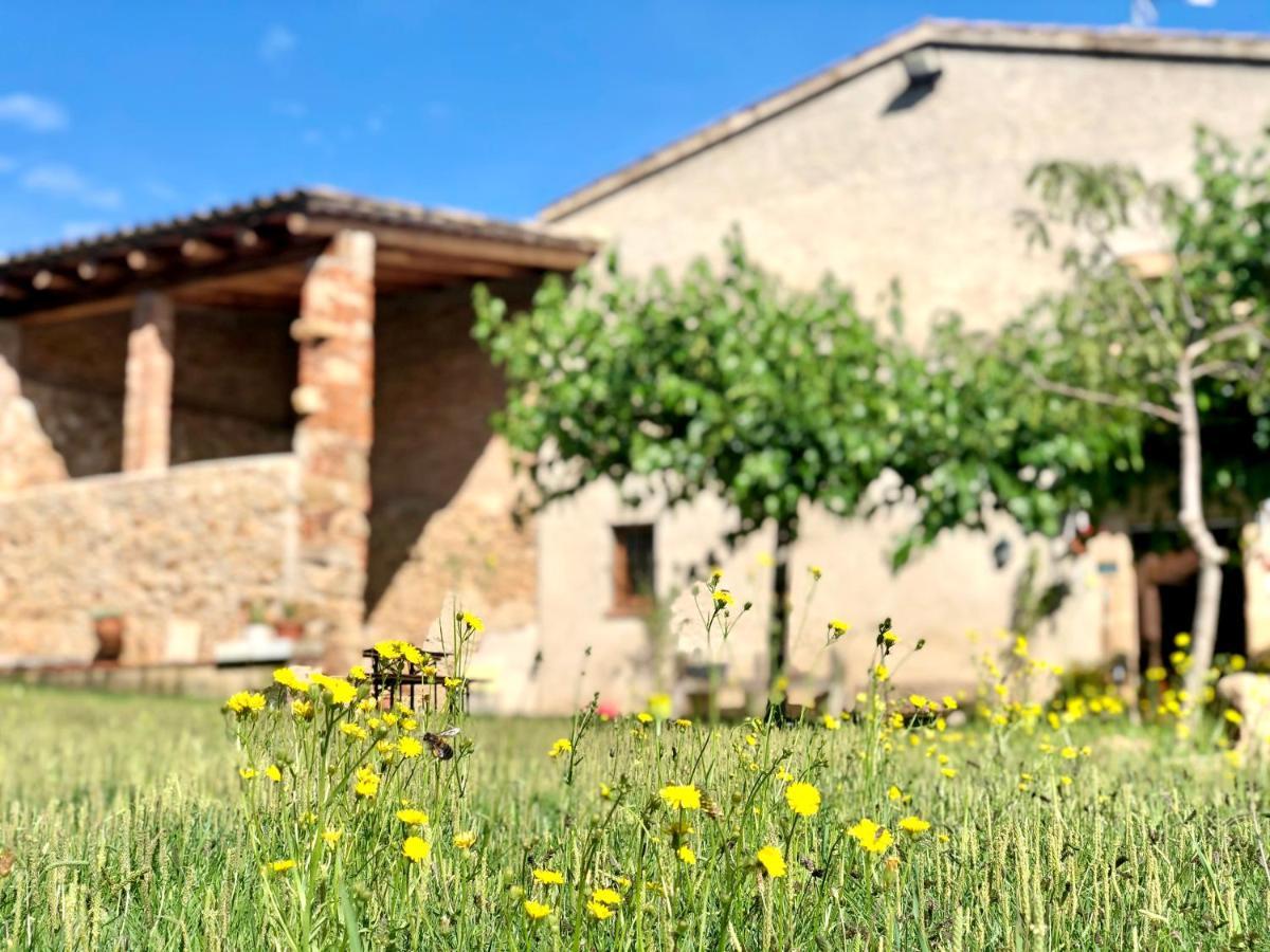 Casa Rural Can Miquel - En Pleno Bosque Y Cerca De La Playa - Increibles Rutas Btt 圣科洛马·德法尔 外观 照片