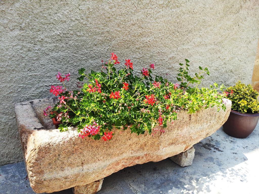Casa Rural Can Miquel - En Pleno Bosque Y Cerca De La Playa - Increibles Rutas Btt 圣科洛马·德法尔 外观 照片