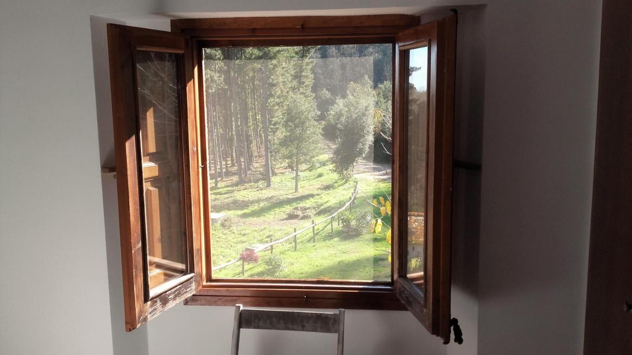Casa Rural Can Miquel - En Pleno Bosque Y Cerca De La Playa - Increibles Rutas Btt 圣科洛马·德法尔 外观 照片