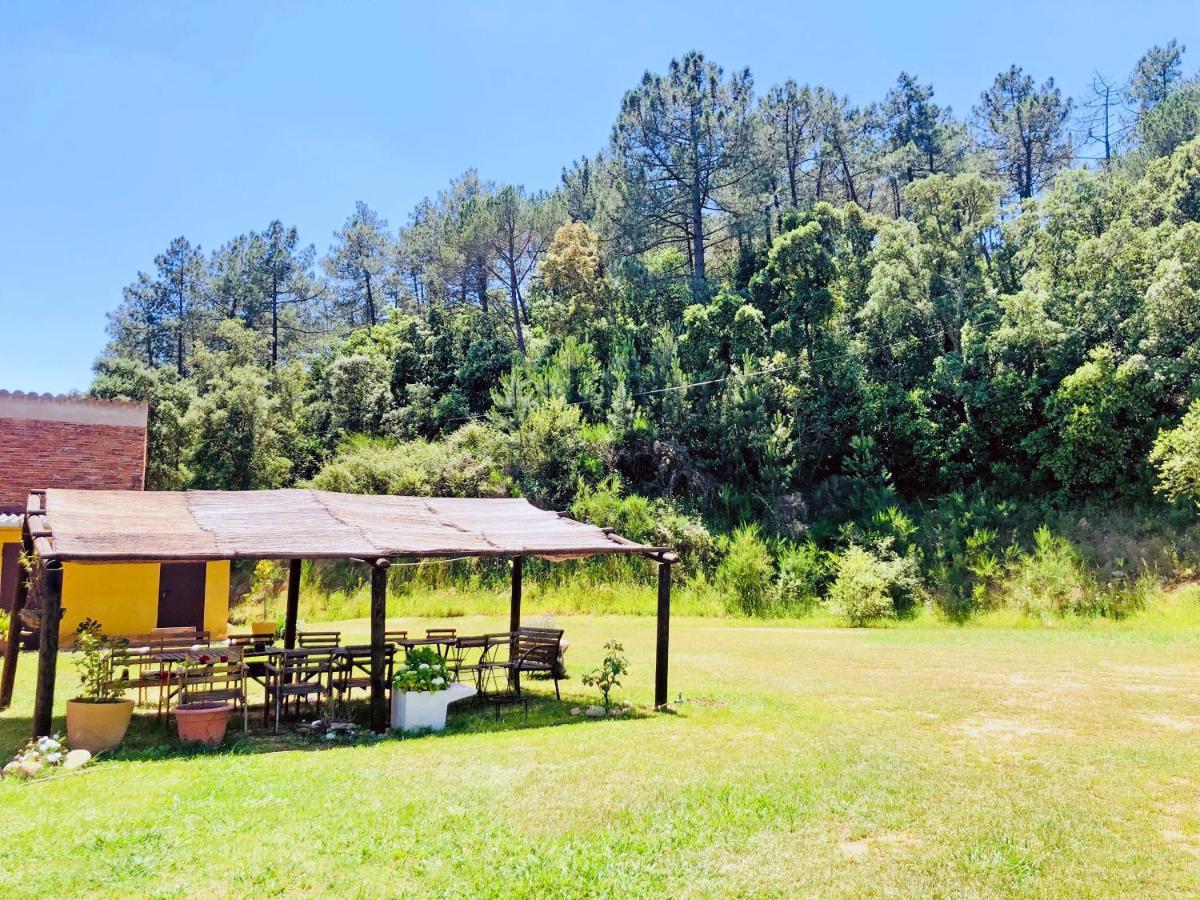 Casa Rural Can Miquel - En Pleno Bosque Y Cerca De La Playa - Increibles Rutas Btt 圣科洛马·德法尔 外观 照片