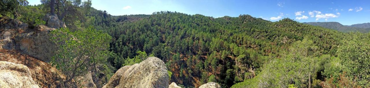 Casa Rural Can Miquel - En Pleno Bosque Y Cerca De La Playa - Increibles Rutas Btt 圣科洛马·德法尔 外观 照片