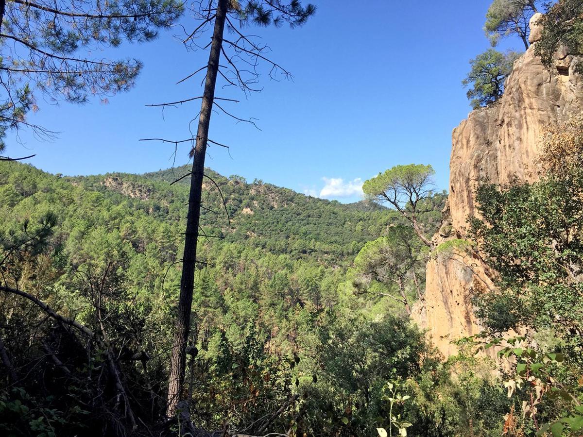 Casa Rural Can Miquel - En Pleno Bosque Y Cerca De La Playa - Increibles Rutas Btt 圣科洛马·德法尔 外观 照片