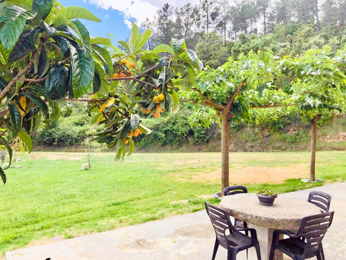 Casa Rural Can Miquel - En Pleno Bosque Y Cerca De La Playa - Increibles Rutas Btt 圣科洛马·德法尔 外观 照片