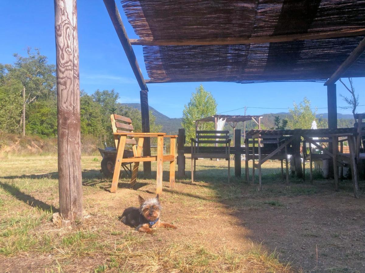Casa Rural Can Miquel - En Pleno Bosque Y Cerca De La Playa - Increibles Rutas Btt 圣科洛马·德法尔 外观 照片