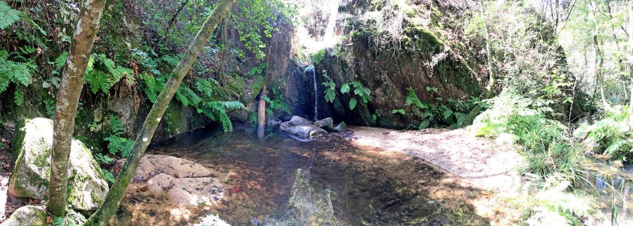 Casa Rural Can Miquel - En Pleno Bosque Y Cerca De La Playa - Increibles Rutas Btt 圣科洛马·德法尔 外观 照片